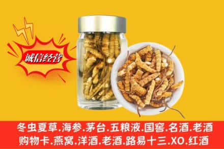 晋中灵石县回收散虫草