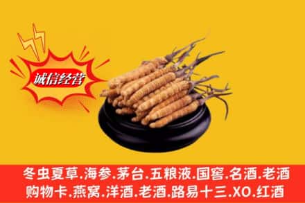 晋中灵石县名酒回收冬虫夏草.jpg